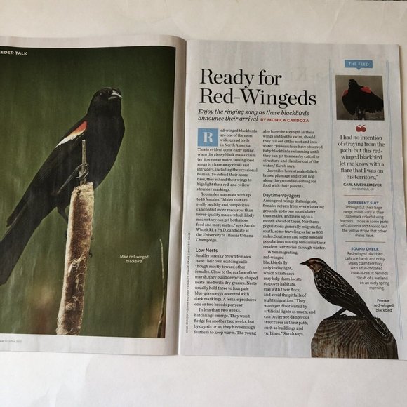 Birds and Blooms Mag March Extra 2023-Finches-Herbs-feeding hacks-ground cover - Picture 4 of 9